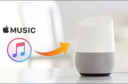 传Apple Music 将入驻谷歌Ho